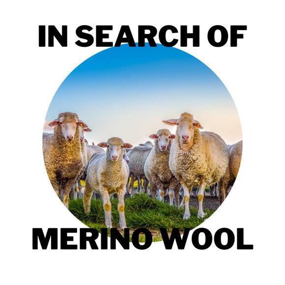 INFO AND DEALS FROM @thalia_lindy! - Picture 10 of 14